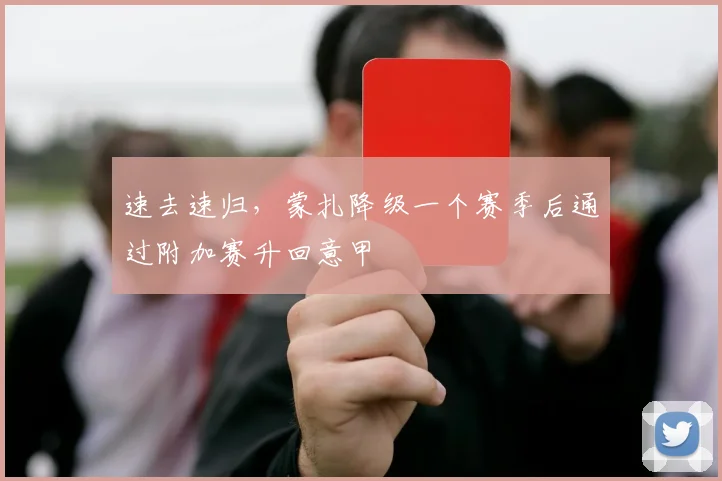 速去速归，蒙扎降级一个赛季后通过附加赛升回意甲