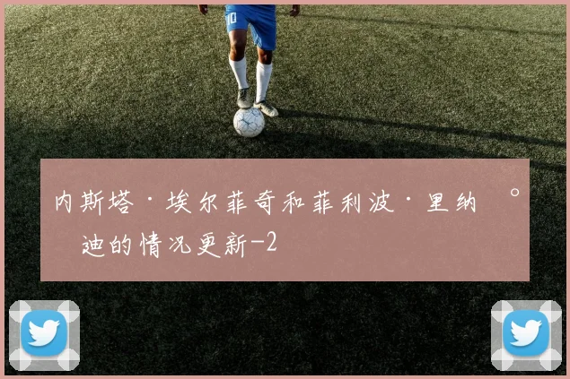 内斯塔·埃尔菲奇和菲利波·里纳尔迪的情况更新