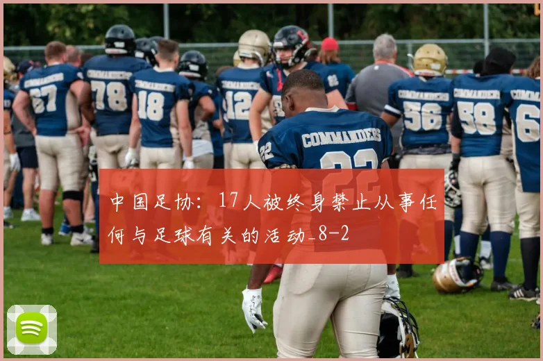 中国足协:17人被终身禁止从事任何与足球有关的活动_8