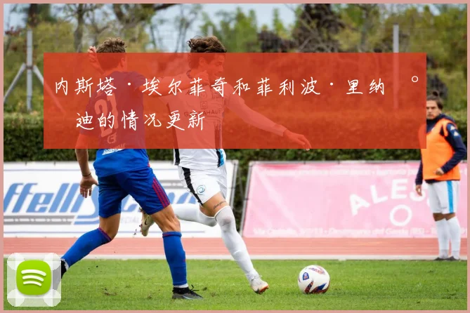 内斯塔·埃尔菲奇和菲利波·里纳尔迪的情况更新