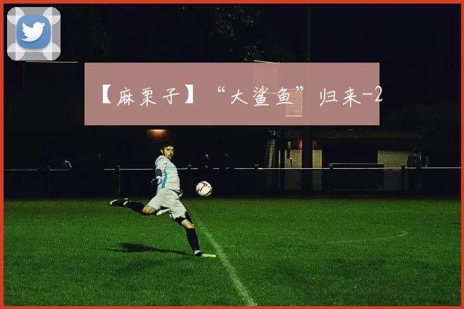 【麻栗子】“大鲨鱼”归来